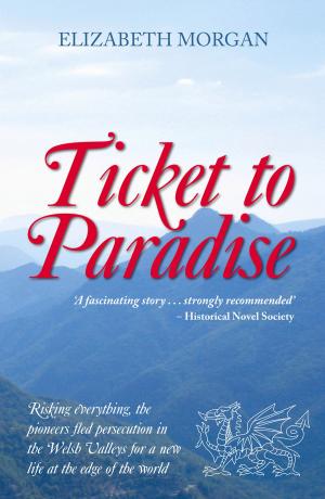 Cover of the book Ticket to Paradise by Johanna Sinisalo