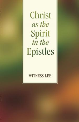 Book cover of Christ as the Spirit in the Epistles