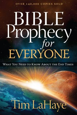 Cover of the book Bible Prophecy for Everyone by Steve McVey