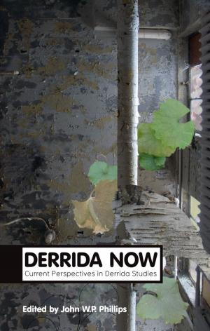 Cover of the book Derrida Now by Rhena Branch, Rob Willson