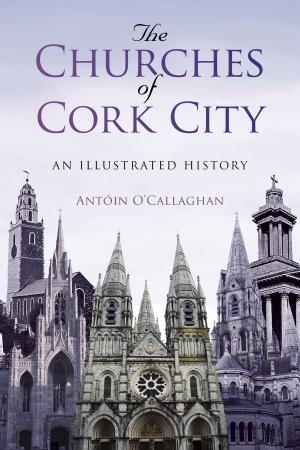 Cover of the book Churches of Cork City by Stephen F. Kelly