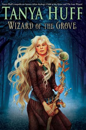Cover of the book Wizard of the Grove by Melanie Rawn
