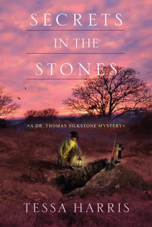 Cover of the book Secrets in the Stones by Lisa Jackson