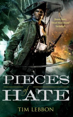 Cover of the book Pieces of Hate by Fran Wilde