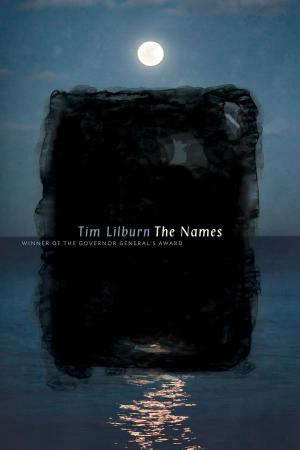 Book cover of The Names