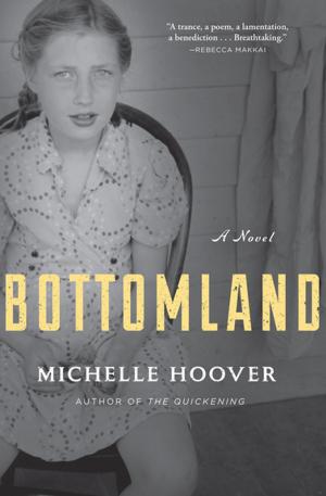 Book cover of Bottomland