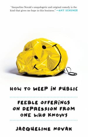 Cover of the book How to Weep in Public by Judy MacDonnell