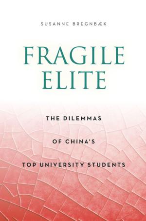 Cover of the book Fragile Elite by Mitchell Dean, Kaspar Villadsen