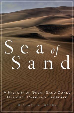 Cover of the book Sea of Sand by Barbara Sinclair