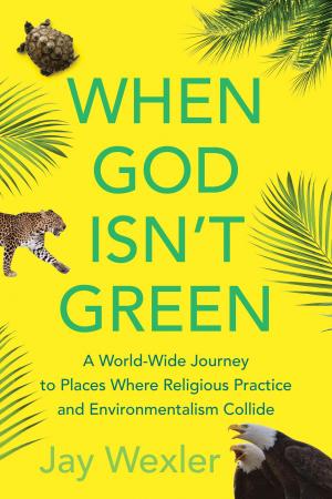 Cover of the book When God Isn't Green by William Ayers
