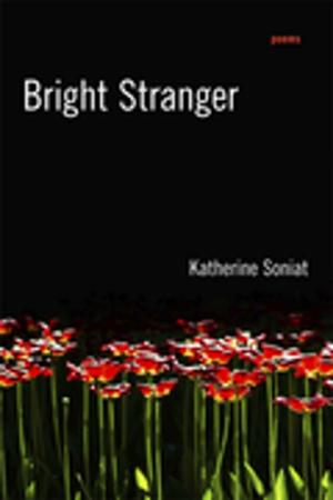 Cover of the book Bright Stranger by James Alex Baggett