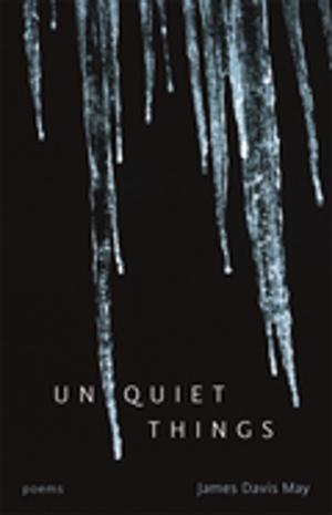 Cover of the book Unquiet Things by Laura VanArendonk Baugh