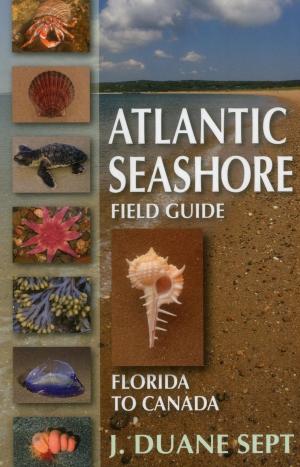 Cover of the book Atlantic Seashore Field Guide by Bob Dye