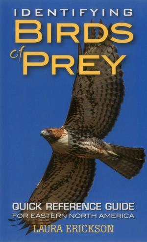 Cover of the book Identifying Birds of Prey by Anne Dimock