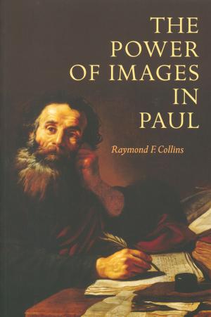 bigCover of the book The Power of Images in Paul by 