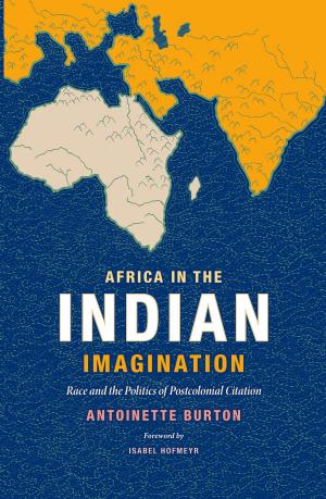 Cover of the book Africa in the Indian Imagination by Kathleen Biddick, Joan Wallach Scott