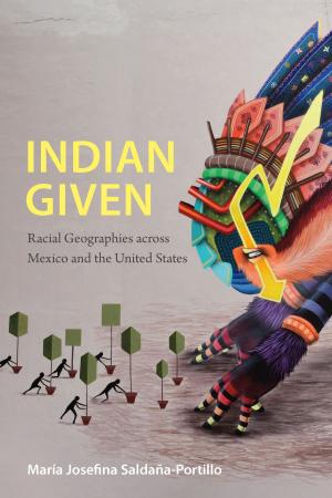 Cover of the book Indian Given by Hannah Feldman