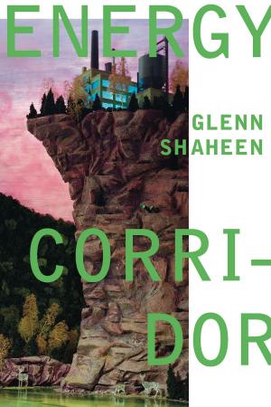 Cover of the book Energy Corridor by Gábor Rittersporn