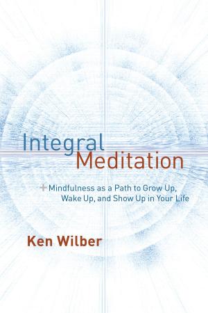 Cover of the book Integral Meditation by Glenn H. Mullin