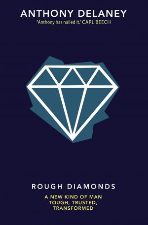 Book cover of Rough Diamonds
