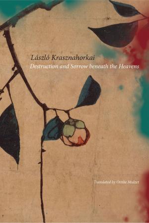 Cover of the book Destruction and Sorrow beneath the Heavens by Urs Widmer