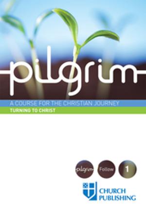 Cover of the book Pilgrim by Kimberly Winston