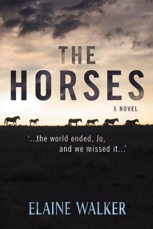 Cover of the book The Horses by JEAN-CLAUDE RACINET, FRANCOIS BAUCHER