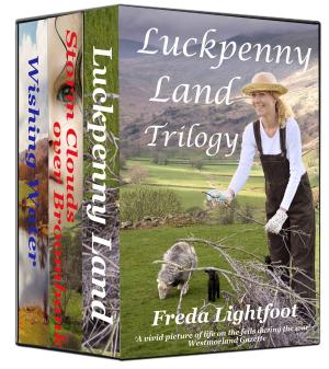 Cover of the book Luckpenny Land Box Set by Freda Lightfoot writing as Marion Carr