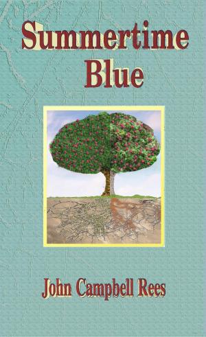 Book cover of Summertime Blue
