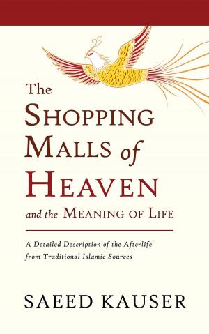 bigCover of the book The Shopping Malls of Heaven by 