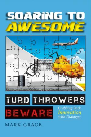 Cover of the book Soaring to Awesome by Petra Aeron Lohmann