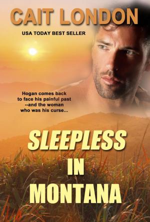 Cover of the book Sleepless in Montana by John King, Martin Knight