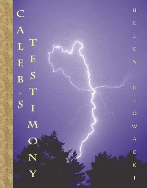 Cover of the book Caleb's Testimony by Helen Guimenny Glowacki