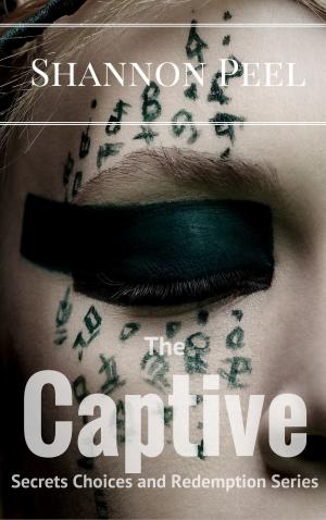 Cover of the book The Captive (Secrets, Choices and Redemption) by Daniel N Brown