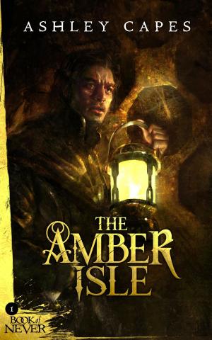 Cover of the book The Amber Isle by F. SANTINI