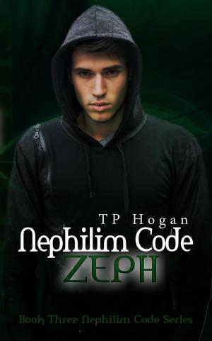 Book cover of Zeph