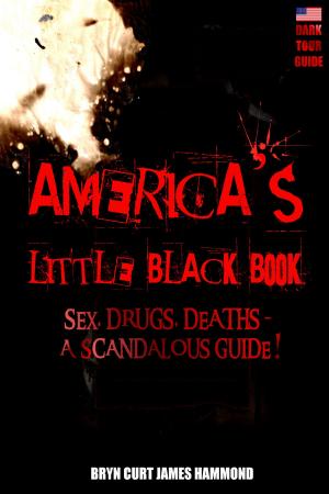 Cover of the book America's Little Black Book by Giuliana Fox