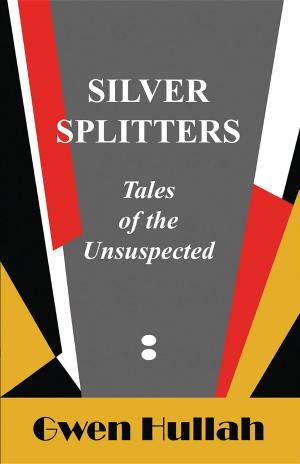 bigCover of the book Silver Splitters by 