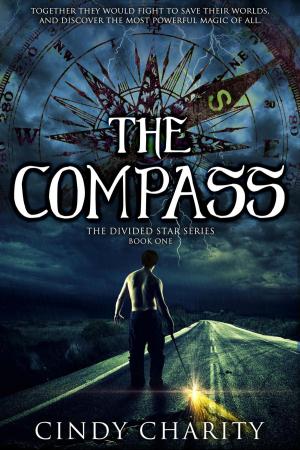 Cover of the book The Compass by Rylan Night