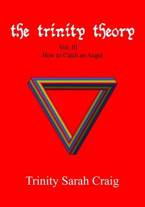 Cover of The Trinity Theory