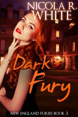 Cover of Dark Fury