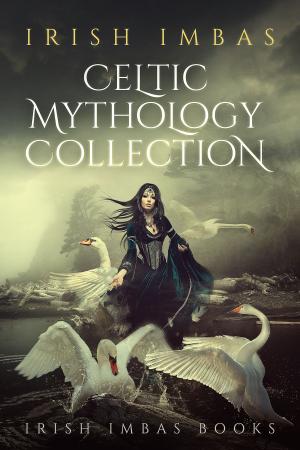 Book cover of Irish Imbas: Celtic Mythology Collection 2016