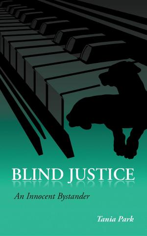 Cover of the book Blind Justice by Cappelletti Roberto