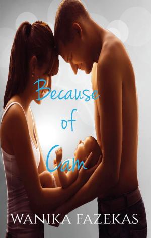 Cover of the book Because of Cam by Ilenia Bellezza