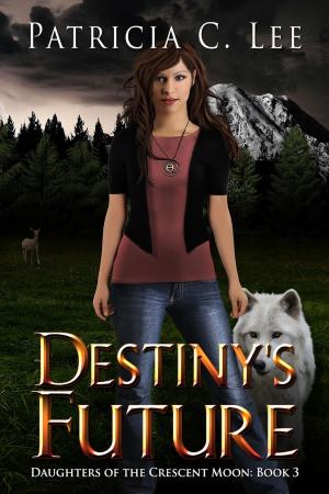 Cover of the book Destiny's Future by Jason Shannon