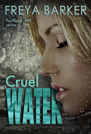 Cover of the book Cruel Water by Daniela Friedl