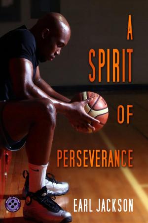 Book cover of A Spirit of Perseverance