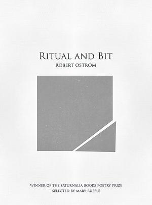 Cover of the book Ritual and Bit by Kathleen Graber
