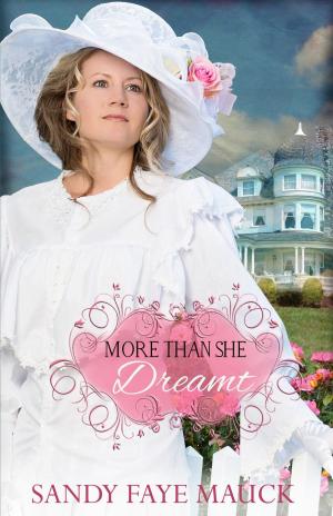 bigCover of the book More Than She Dreamt by 