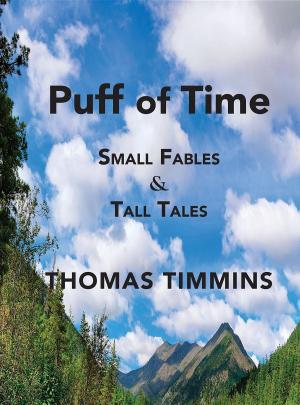 Cover of Puff of Time